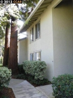 2562 Walnut Blvd Apt 79 Walnut Creek, CA 94596 - Image 3106942