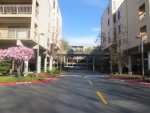 490 North Civic Drive Unit 323 Walnut Creek, CA 94596 - Image 3106943