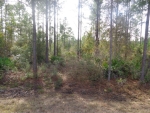 Lot 19 Buster Phillips Ludowici, GA 31316 - Image 3107868