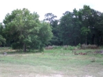 1.23 AC HWY 301 Ludowici, GA 31316 - Image 3107869