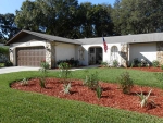 3745 THORNBUSH LN New Port Richey, FL 34655 - Image 3109738