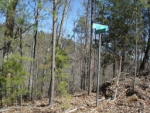 724 ANDERSON LN Ranger, GA 30734 - Image 3111767