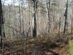 LOT 1232 CEDAR RIDGE Ranger, GA 30734 - Image 3111768