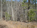 LOT 1567 DOVER ROAD Ranger, GA 30734 - Image 3111769