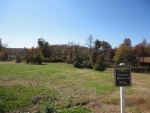 Lot 35 Pod S,of Braselton Braselton, GA 30517 - Image 3112199