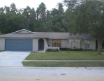 517 Lakeview Dr Oldsmar, FL 34677 - Image 3113700