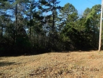 0 D Williams Road Commerce, GA 30530 - Image 3114995