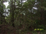 LOT 1809 RIVER TOP RD Talking Rock, GA 30175 - Image 3115520