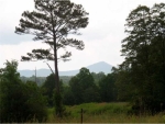 725 Watson Lake Road Ranger, GA 30734 - Image 3115941