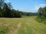 2155 Bryant Road Ranger, GA 30734 - Image 3115937