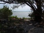 377 Sawyer Dr Summerland Key, FL 33042 - Image 3117640