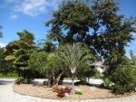 162 Venetian Way Summerland Key, FL 33042 - Image 3118322