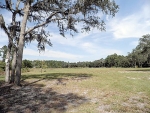 111 Rose Walk Lane Georgetown, FL 32139 - Image 3125848