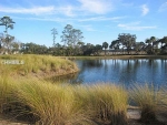 20 River Marsh Ln Okatie, SC 29909 - Image 3194335