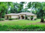 1197 Savannah Oaks Dr Brooksville, FL 34602 - Image 3319985