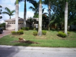 2473 Sw Avondale St Port Saint Lucie, FL 34984 - Image 3321328