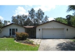 11200 Knotty Pine Dr New Port Richey, FL 34654 - Image 3321913