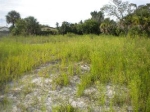 1678 Sarno Rd Melbourne, FL 32935 - Image 3331594