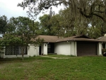 12403 PAMPAS PL Tampa, FL 33617 - Image 3337513