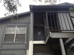 4032 Tumble Wood Trl Apt 204 Tampa, FL 33613 - Image 3337724