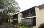 14107 Mossy Glen Ln Apt 103 Tampa, FL 33613 - Image 3337740