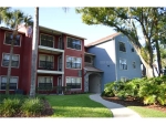 3541 Tobago Ln Apt 302 Tampa, FL 33614 - Image 3338599