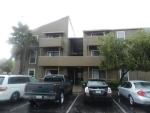 8606 Tanglevine Ln Apt 102 Tampa, FL 33614 - Image 3338594