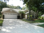 6616 APPALOOSA DR Tampa, FL 33625 - Image 3338617