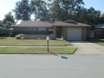 5010 Landsman Ave Tampa, FL 33625 - Image 3338653