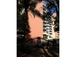 2 Adalia Ave Apt 706 Tampa, FL 33606 - Image 3339074