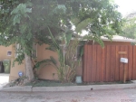 10041 France Ave Tujunga, CA 91042 - Image 3372506