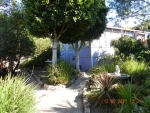 615 Saint Anns Dr Laguna Beach, CA 92651 - Image 3379681