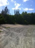 Lot16 &amp; 17 Lobstertail Big Pine Key, FL 33043 - Image 3409264