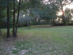 566 N. CR 315 Interlachen, FL 32148 - Image 3411809