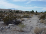 31111 Desert Rock Rd Desert Hot Springs, CA 92241 - Image 3414725