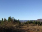 LOT 19 20 OUTLOOK RIDGE Murphy, NC 28906 - Image 3415763