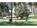 14731 SWIFT RD Dade City, FL 33525 - Image 3416078