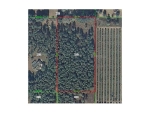 PLATT RD Dade City, FL 33523 - Image 3416080