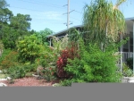 903 Jacinto Venice, FL 34285 - Image 3420970