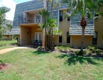 718 Lyndhurst St #902 Dunedin, FL 34698 - Image 3421607