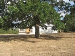 426 SMITH ROAD Bastrop, TX 78602 - Image 3422603