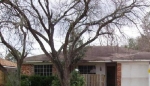 1023 Rainy River Drive Houston, TX 77088 - Image 3423987