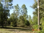 Lake Wood Ranches Parcel 111 (Apn# Eustis, FL 32736 - Image 3426250