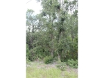 49TH STREET ROAD Ocklawaha, FL 32179 - Image 3428006