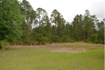 284 Millican Road Palatka, FL 32177 - Image 3428933