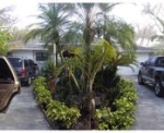 21355 SW 236 ST Homestead, FL 33031 - Image 3442568