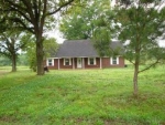 310 Jim Henderson Rd Falkville, AL 35622 - Image 3509084