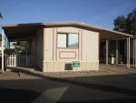 8401 N 67th Ave #169 Glendale, AZ 85302 - Image 3563747