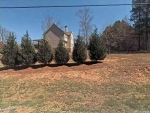 Dogwood Way Dawsonville, GA 30534 - Image 3584921