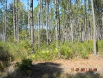 Grey Hawk Rd Lot 37 Waycross, GA 31503 - Image 3589162